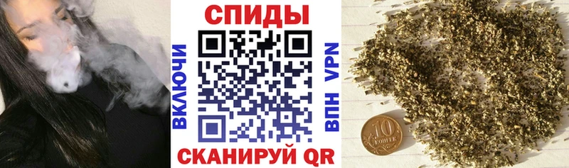 БУТИРАТ оксана  где найти   Элиста 