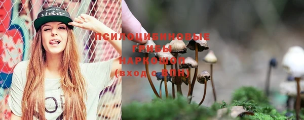 спайс Надым