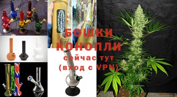 ПСИЛОЦИБИНОВЫЕ ГРИБЫ Михайловка