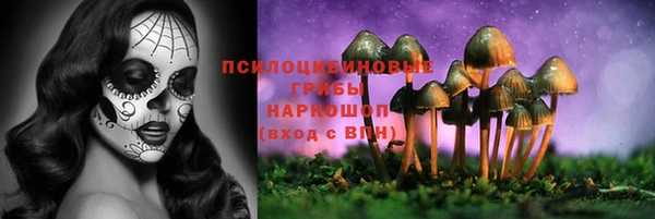 спайс Надым