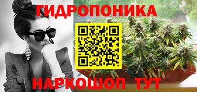 гашик Моздок