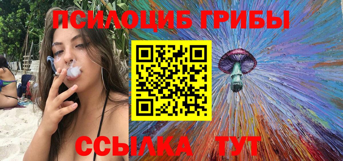 Псилоцибиновые грибы прущие грибы  Галлюциногенные грибы MAGIC MUSHROOMS  Элиста  Вход с VPN 