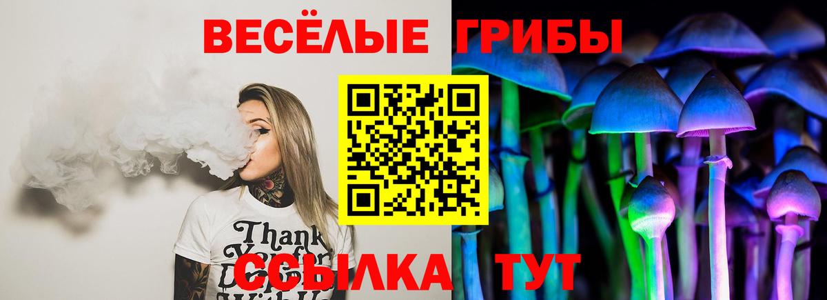 Псилоцибиновые грибы Psilocybe Элиста